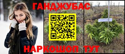 соль ск Славгород