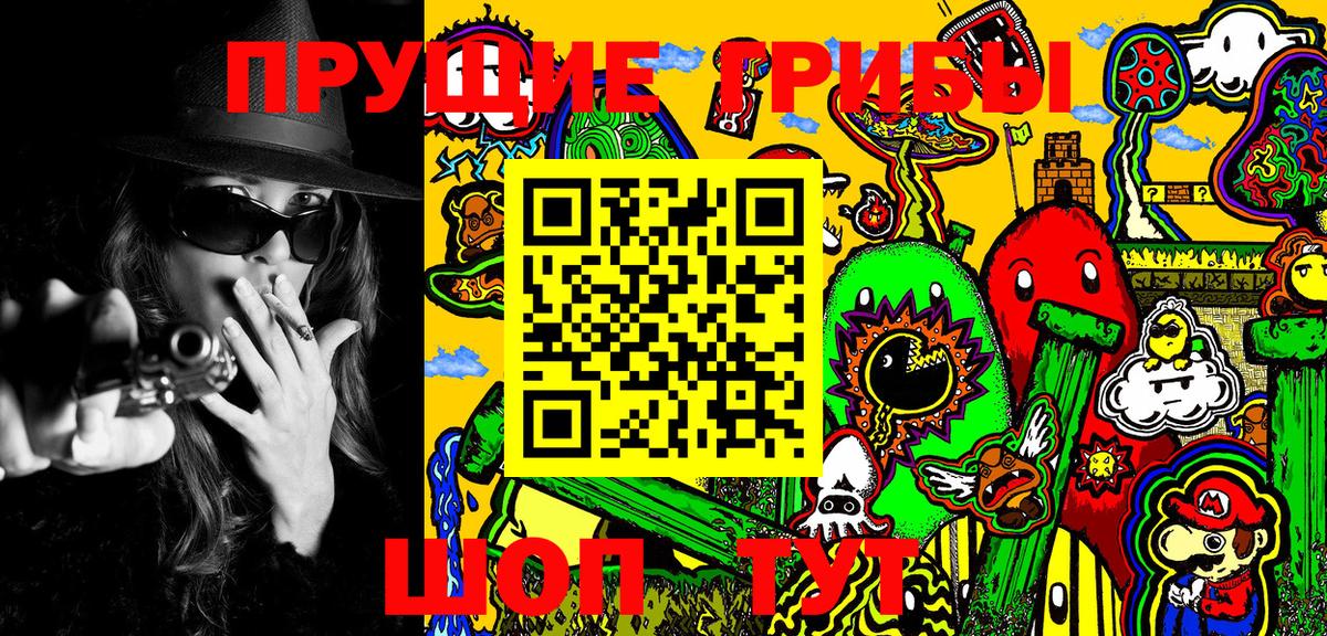 Галлюциногенные грибы Psilocybine cubensis  Вход с VPN  Фурманов 